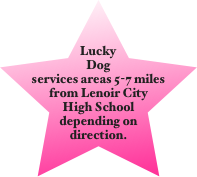 Lucky Dog services areas 5-7 miles from Lenoir City High School depending on direction.
